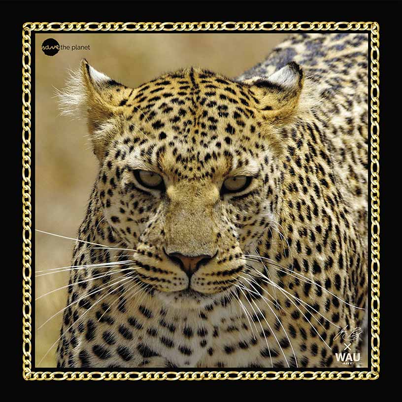 https://www.wauart.it/wp-content/uploads/2020/06/Leopardo-1.jpg